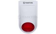 TS-WS950 Tantos Proteus ������������ ������������� �����������