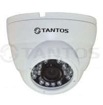 TSi-Dle1F (3.6) IP видеокамера уличная купольная антивандальная с ИК подсветкой